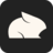Logo Pika Labs